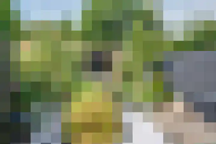 Het Laar 185 Deventer thumbnail 37