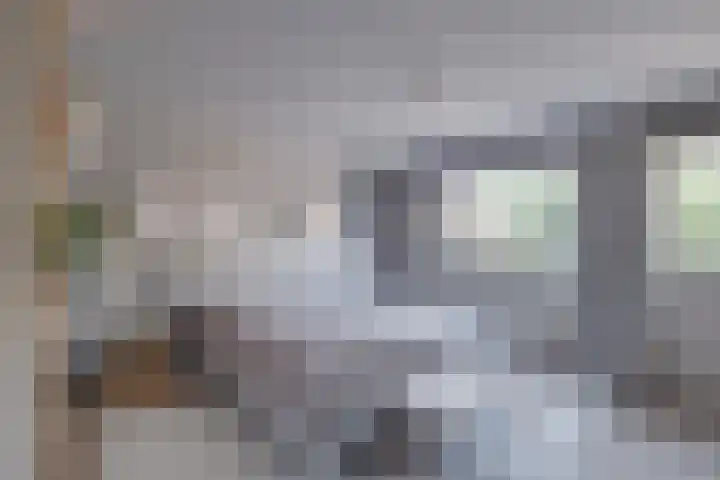 Het Laar 185 Deventer thumbnail 4