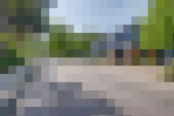 Het Laar 185 Deventer thumbnail 44