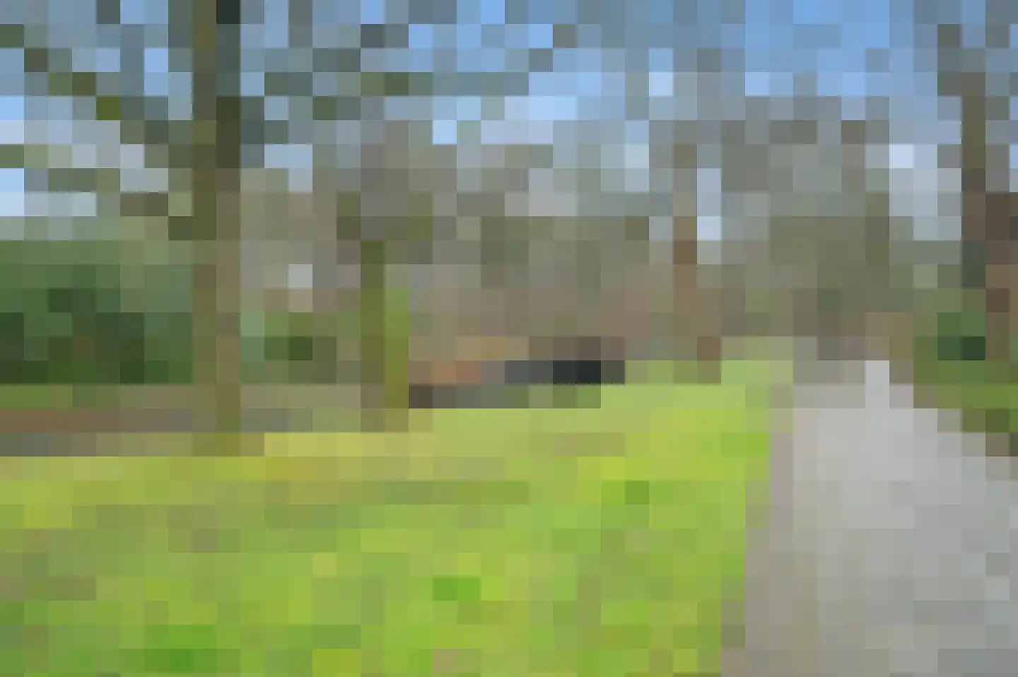 Het Laar 189 Deventer thumbnail 32