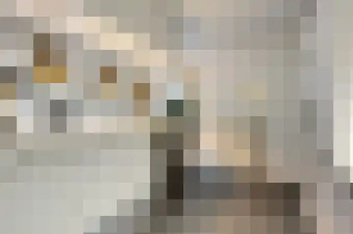 Het Laar 223 Deventer thumbnail 10
