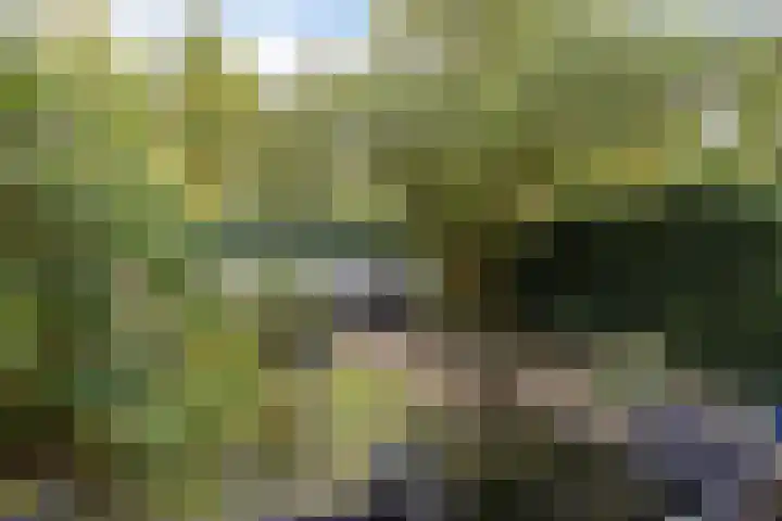 Het Laar 223 Deventer thumbnail 11