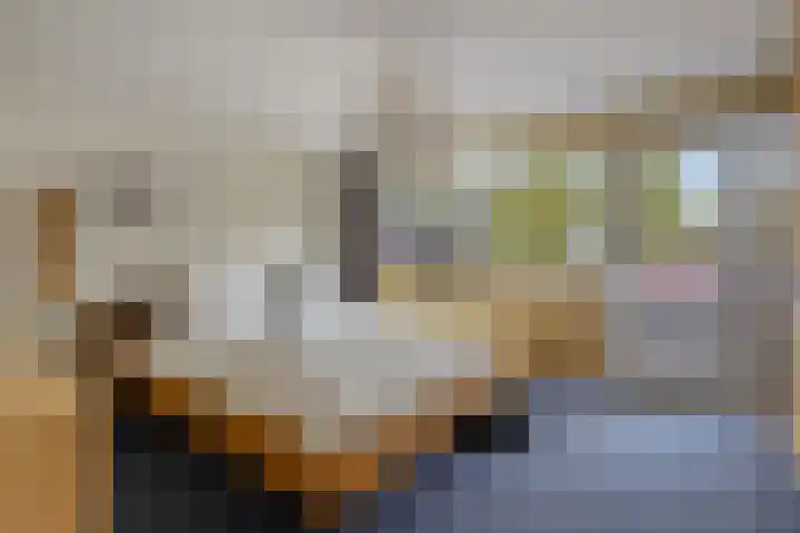 Het Laar 223 Deventer thumbnail 12