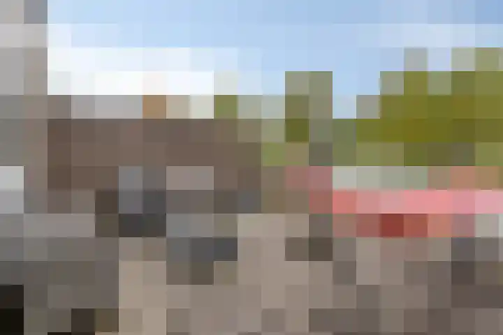 Het Laar 223 Deventer thumbnail 13