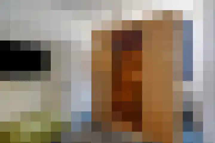 Het Laar 223 Deventer thumbnail 14