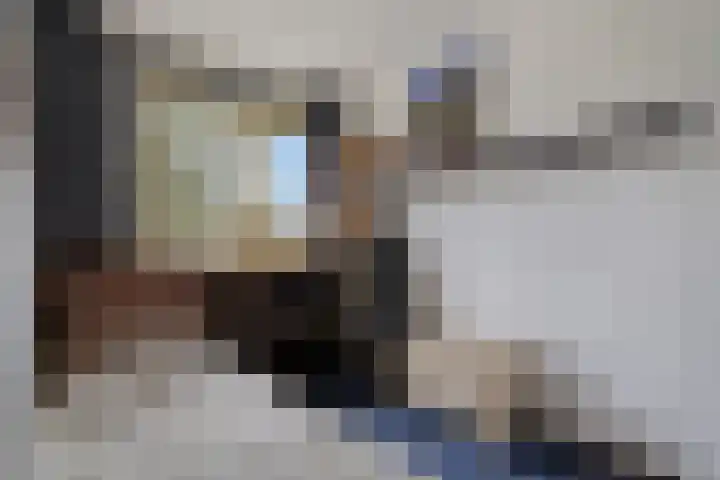 Het Laar 223 Deventer thumbnail 17