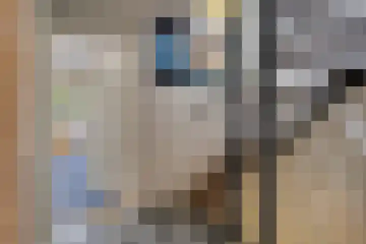 Het Laar 223 Deventer thumbnail 18