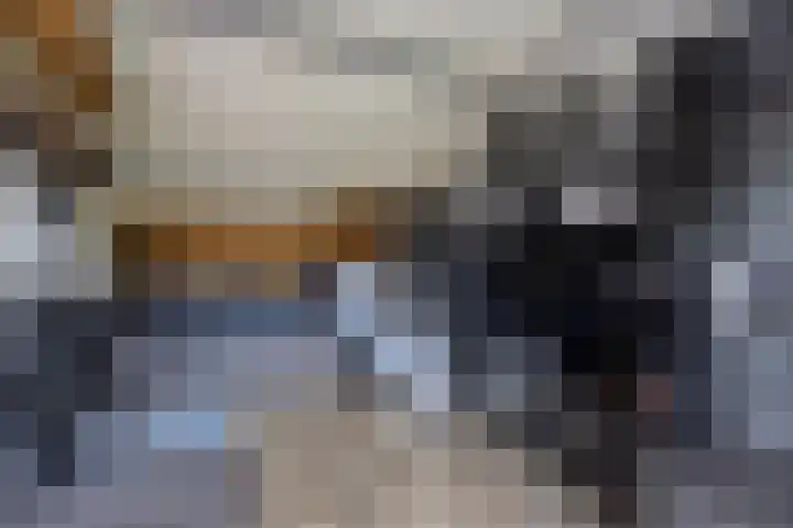 Het Laar 223 Deventer thumbnail 20