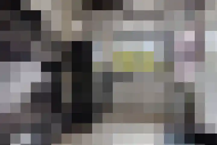 Het Laar 223 Deventer thumbnail 21