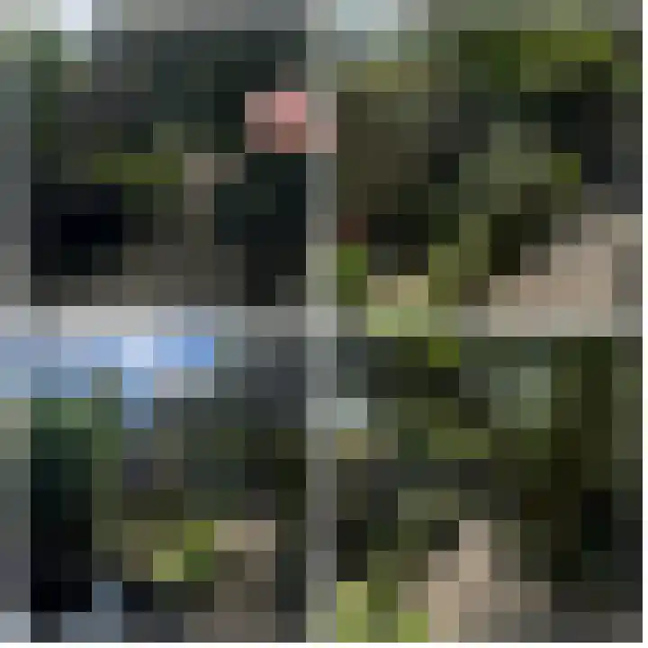 Het Laar 223 Deventer thumbnail 22