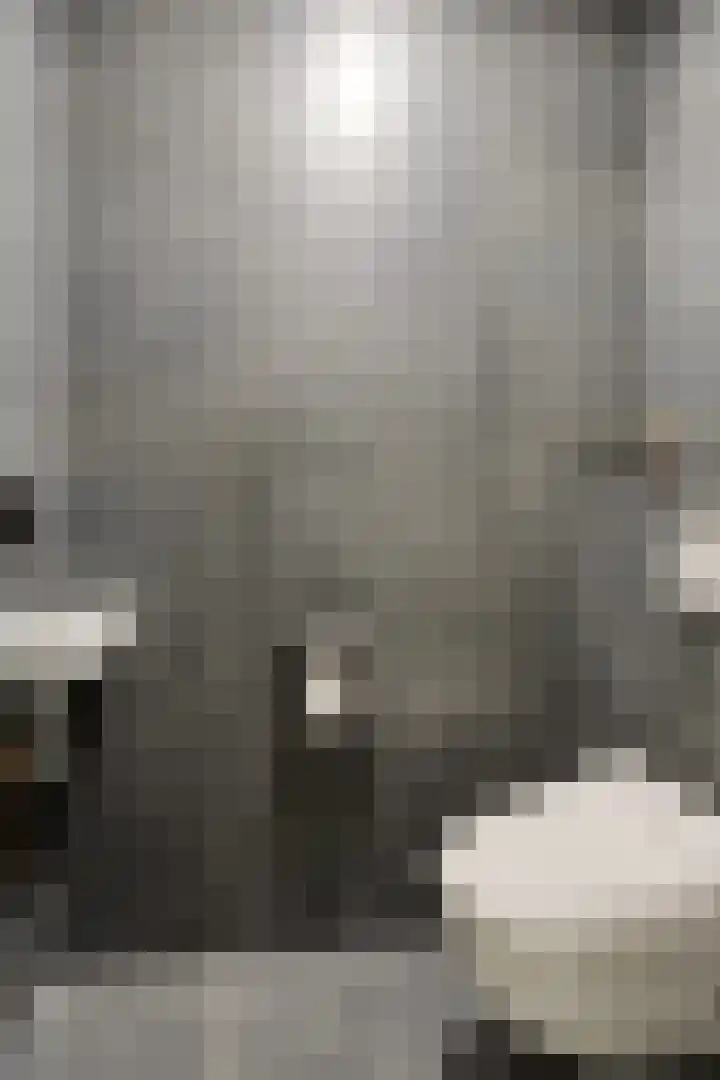 Het Laar 223 Deventer thumbnail 4