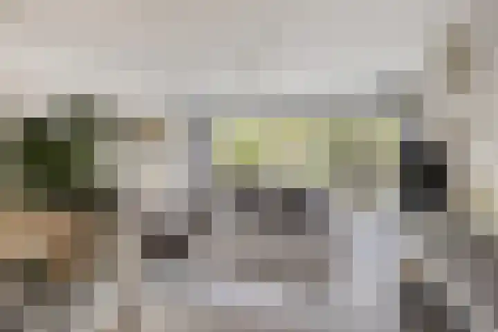 Het Laar 223 Deventer thumbnail 5