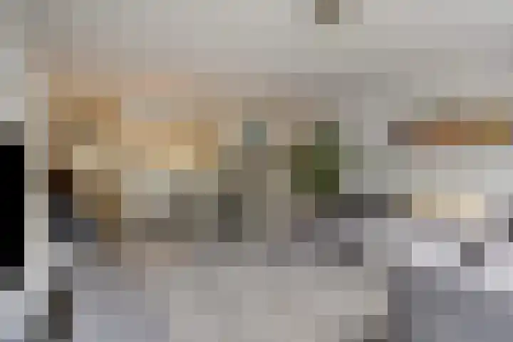 Het Laar 223 Deventer thumbnail 7