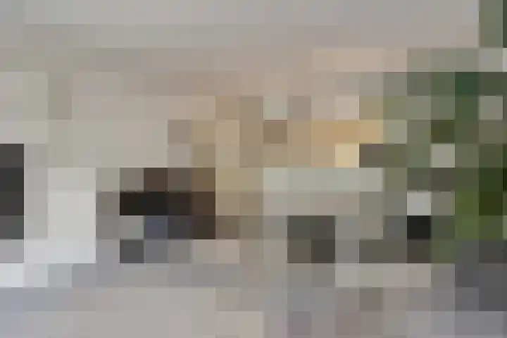Het Laar 223 Deventer thumbnail 8