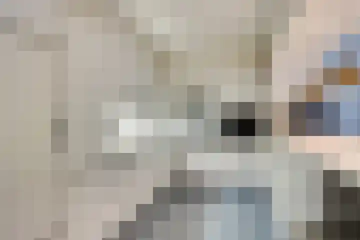 Het Laar 223 Deventer thumbnail 9