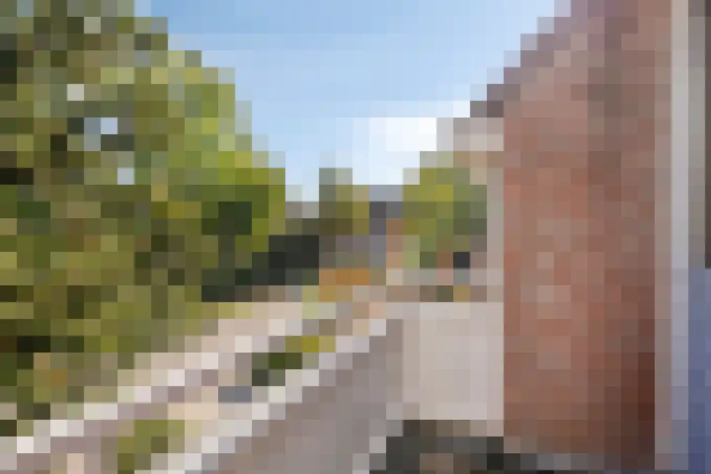 Het Laar 25 Valkenswaard thumbnail 23