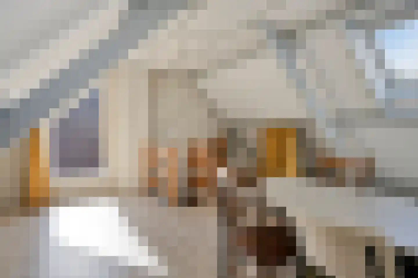 Het Laar 25 Valkenswaard thumbnail 27