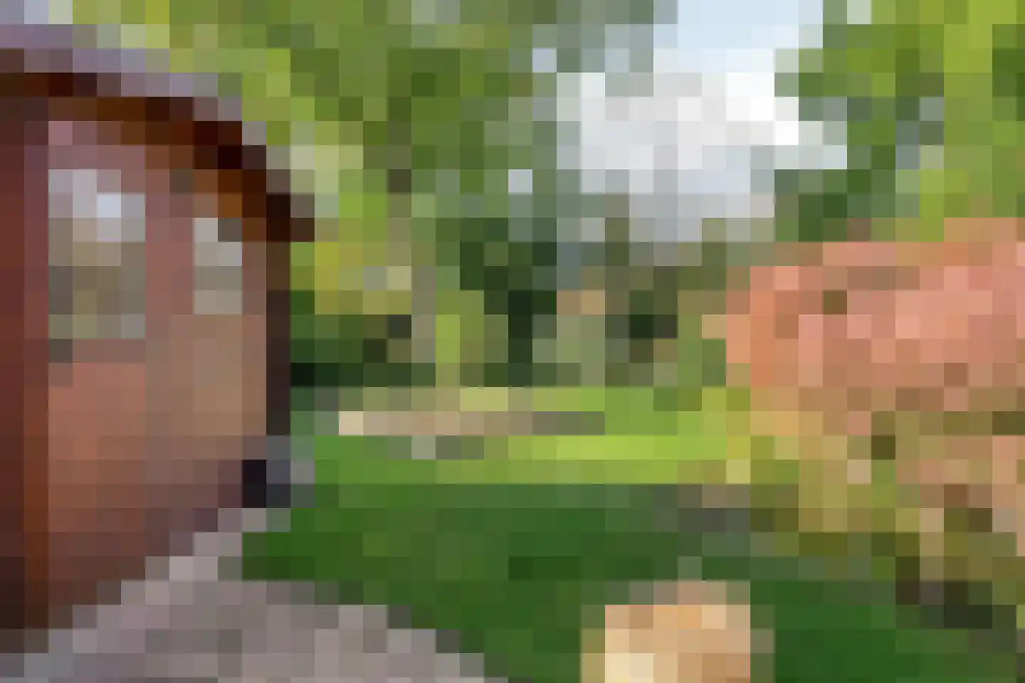 Het Laar 25 Valkenswaard thumbnail 28