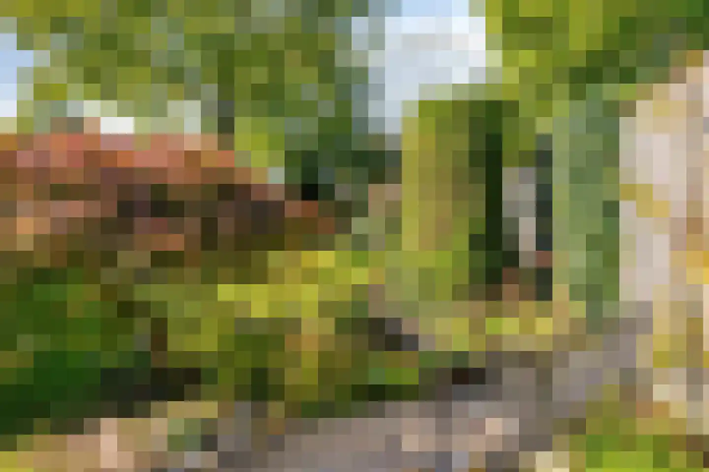 Het Laar 25 Valkenswaard thumbnail 29