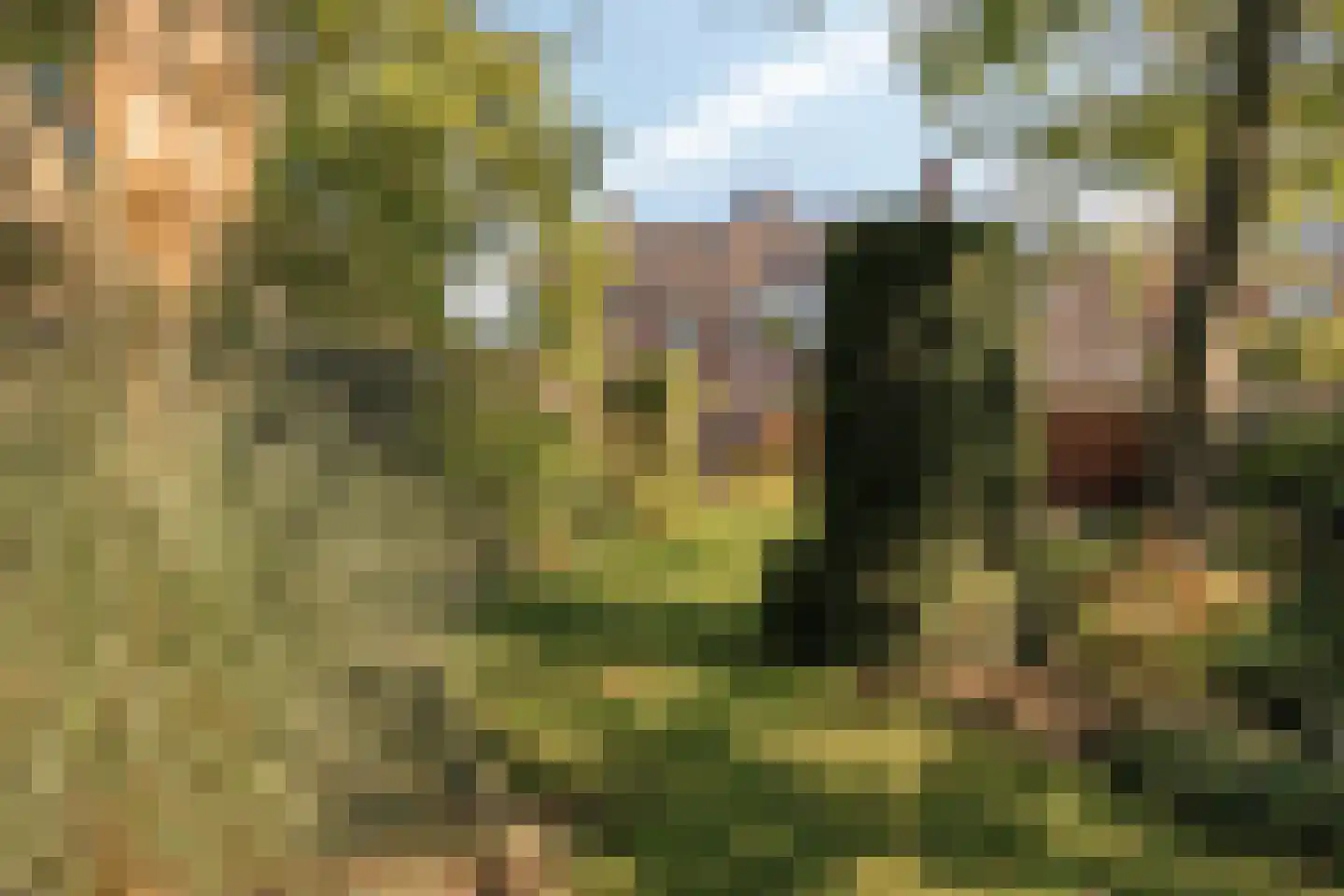 Het Laar 25 Valkenswaard thumbnail 31