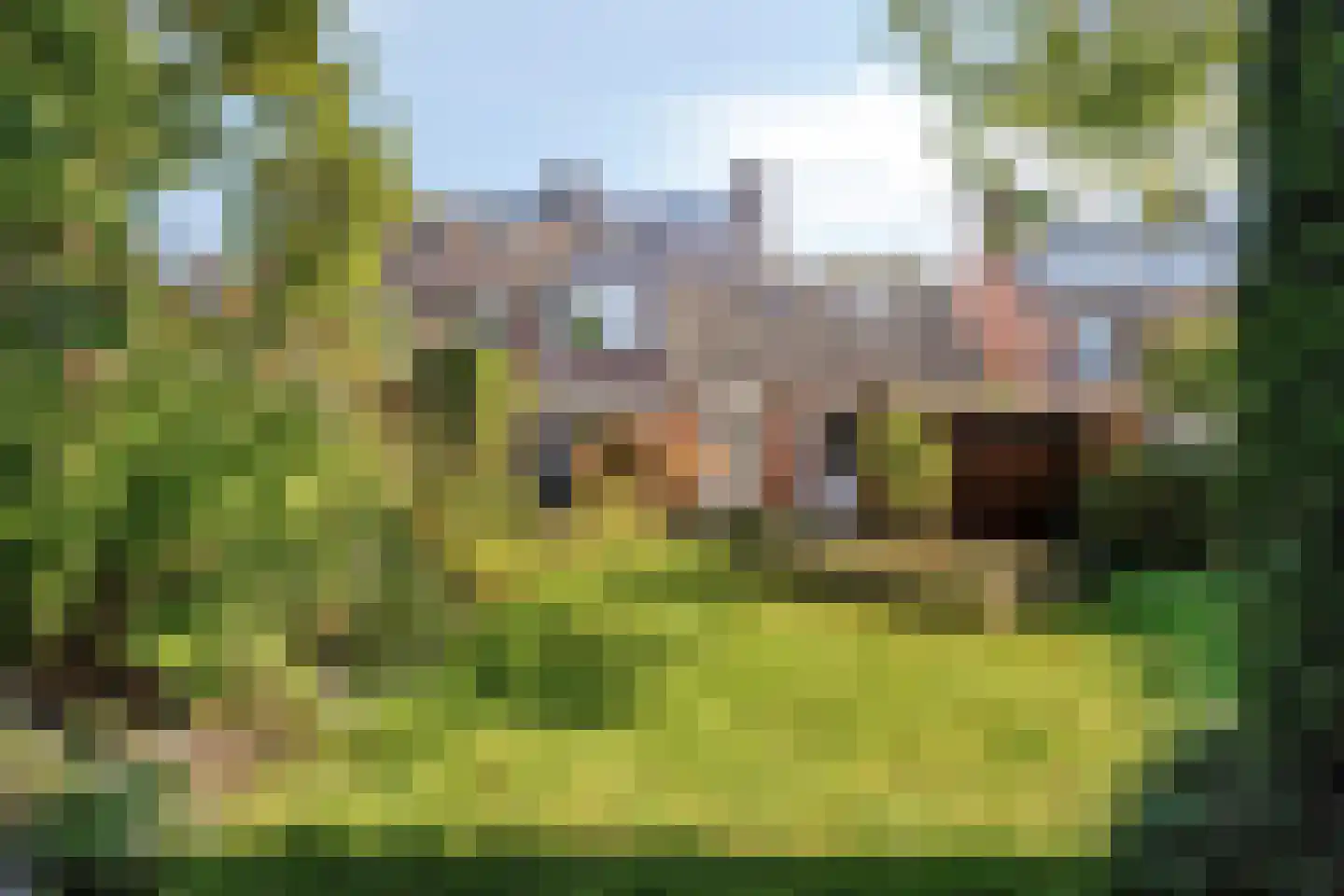 Het Laar 25 Valkenswaard thumbnail 4