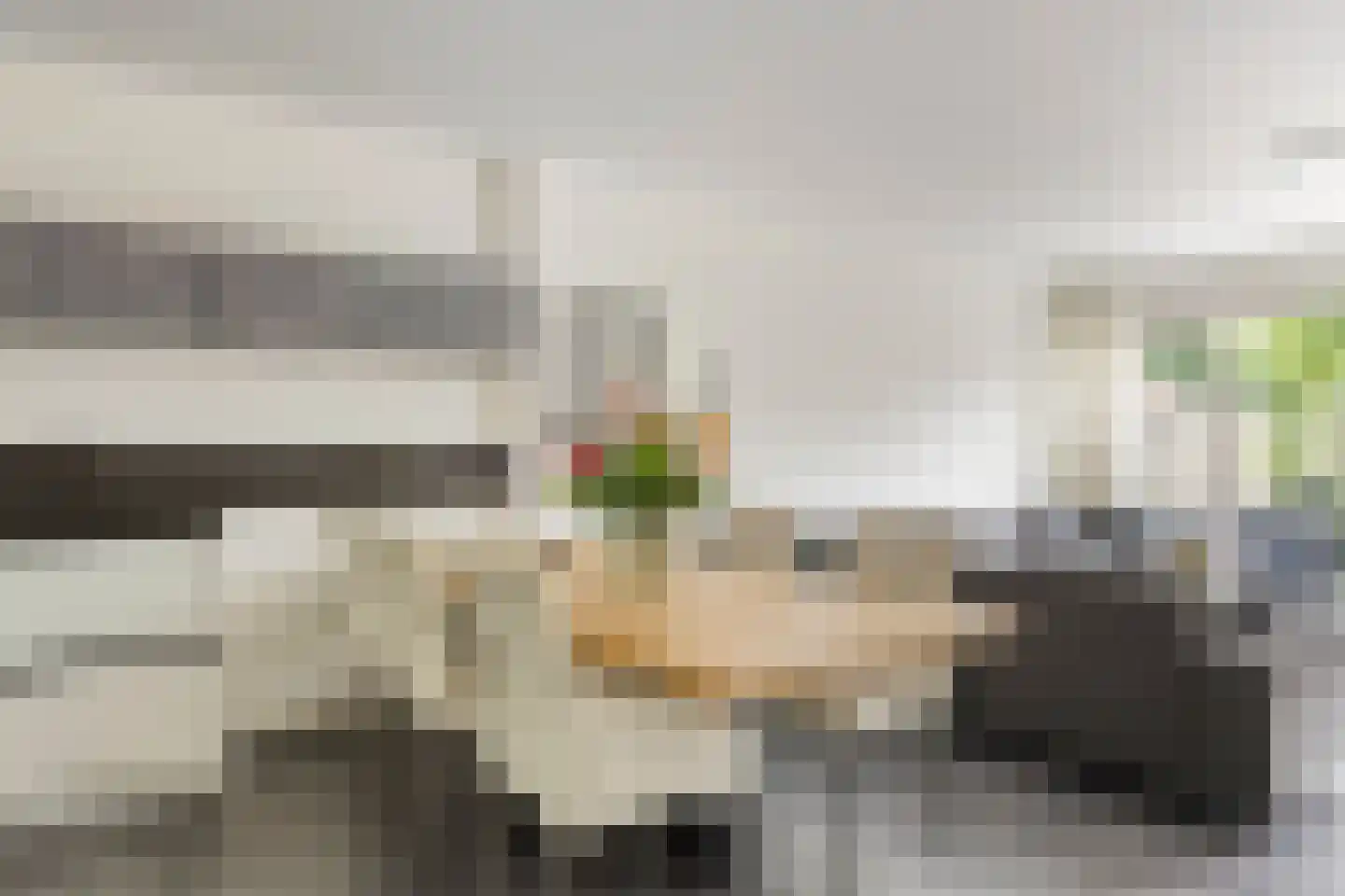 Het Laar 263 Deventer thumbnail 11