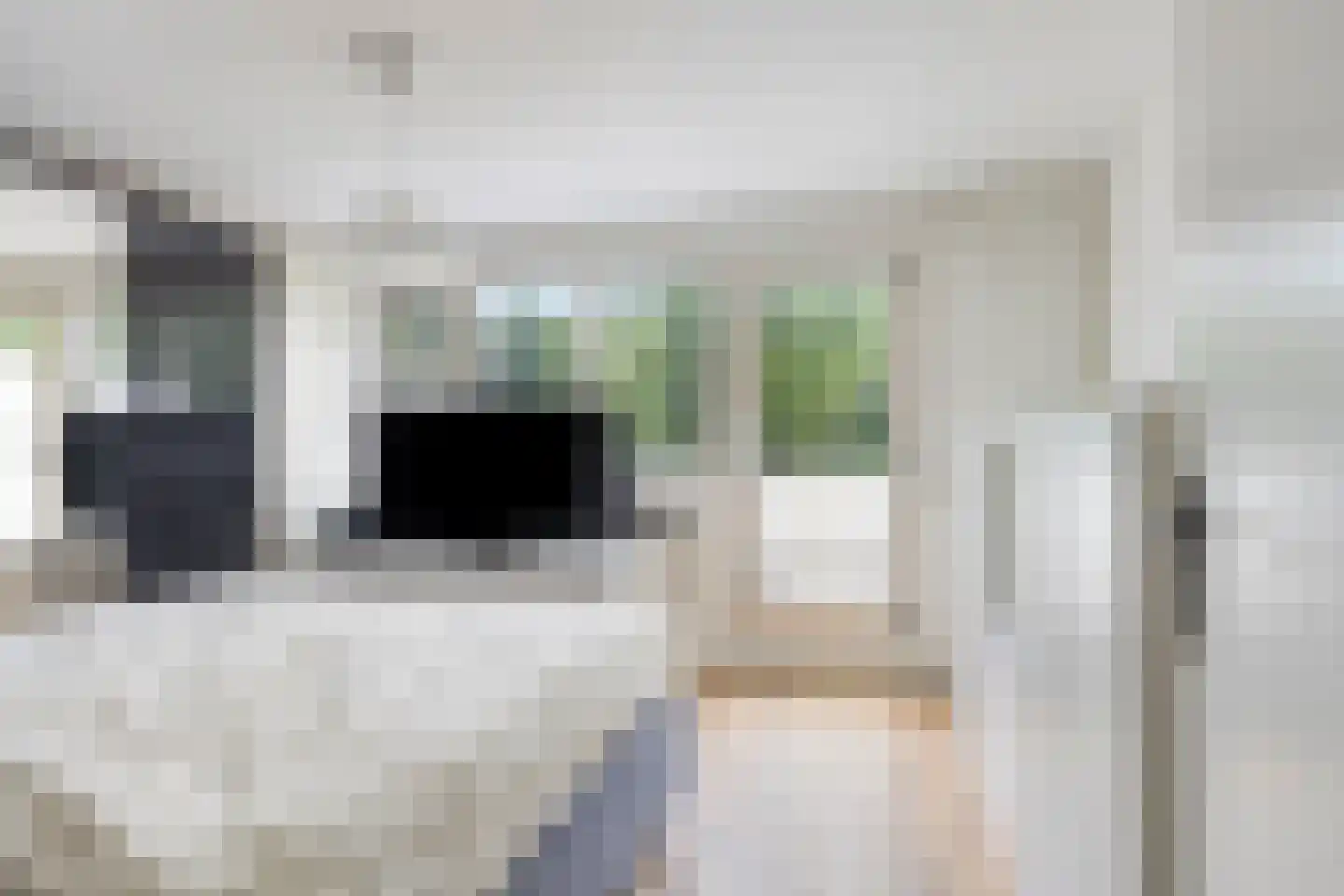 Het Laar 263 Deventer thumbnail 17