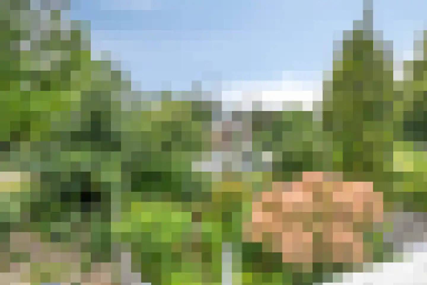 Het Laar 263 Deventer thumbnail 22