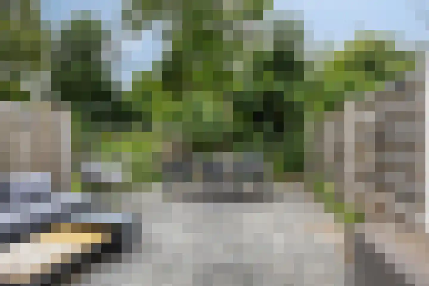 Het Laar 263 Deventer thumbnail 28