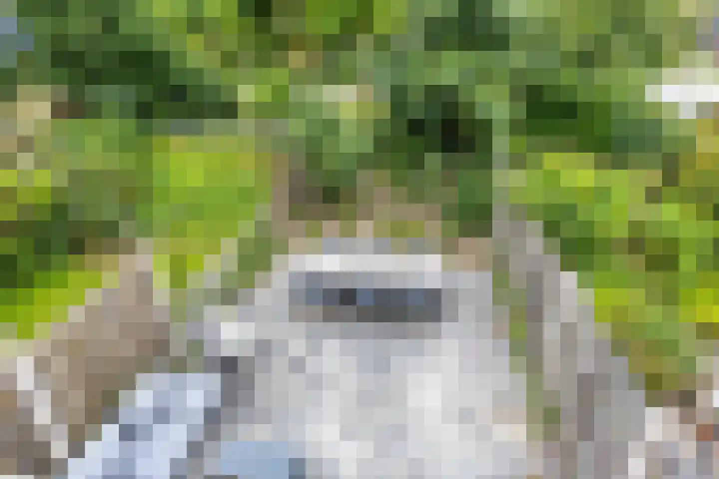 Het Laar 263 Deventer thumbnail 5