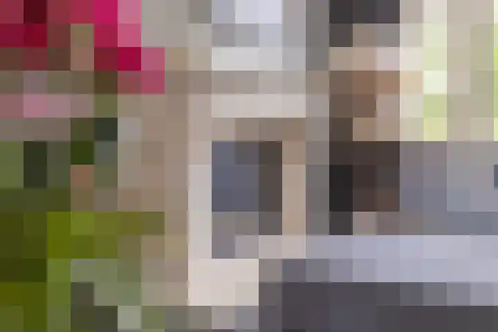 Het Laar 68 Zundert thumbnail 18