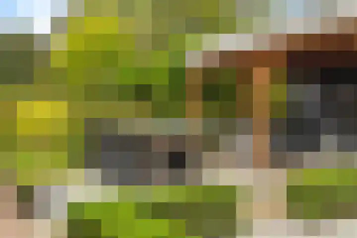 Het Laar 68 Zundert thumbnail 55