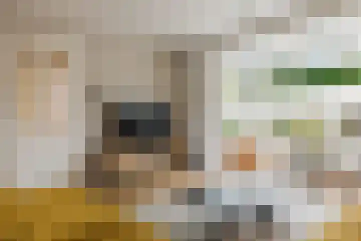 Het Laar 72 Zundert thumbnail 11