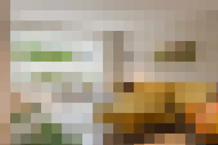 Het Laar 72 Zundert thumbnail 13
