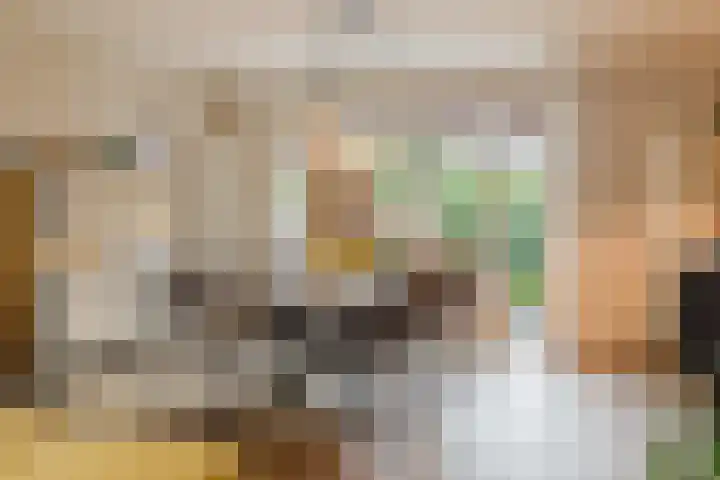 Het Laar 72 Zundert thumbnail 15