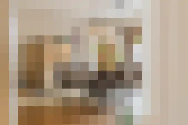 Het Laar 72 Zundert thumbnail 16