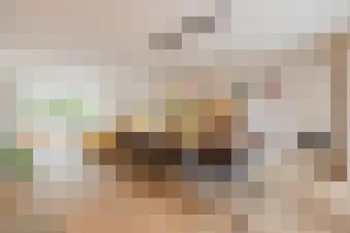 Het Laar 72 Zundert thumbnail 17