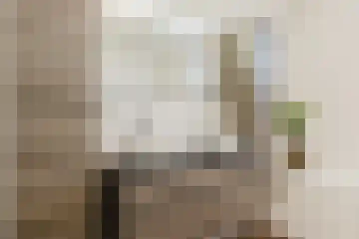 Het Laar 72 Zundert thumbnail 26
