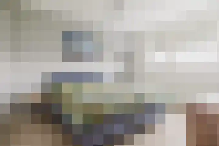 Het Laar 72 Zundert thumbnail 29