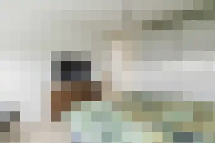 Het Laar 72 Zundert thumbnail 30