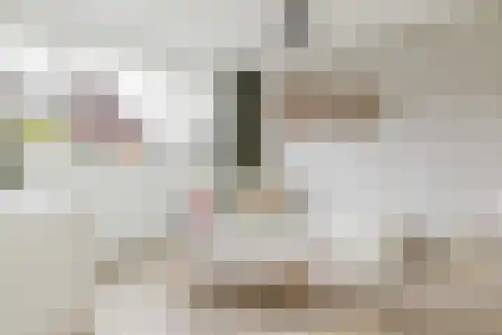 Het Laar 72 Zundert thumbnail 31