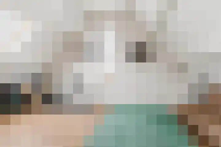Het Laar 72 Zundert thumbnail 36