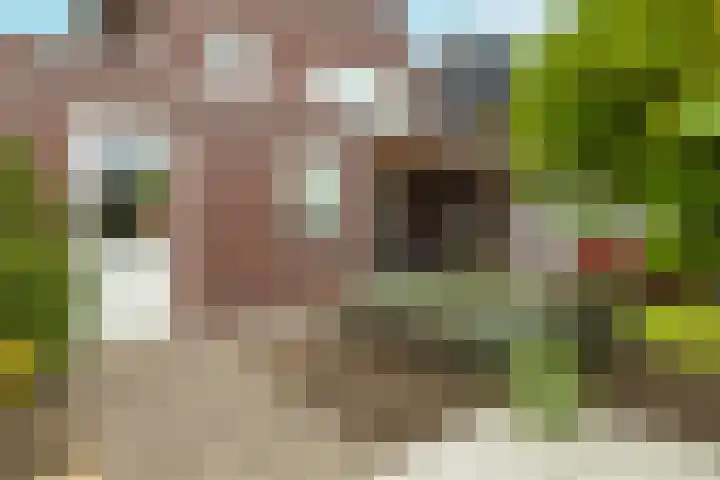 Het Laar 72 Zundert thumbnail 39