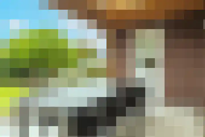 Het Laar 72 Zundert thumbnail 40
