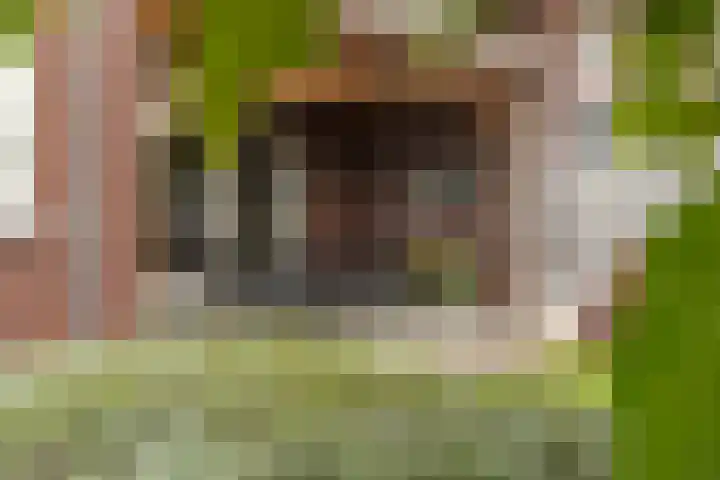 Het Laar 72 Zundert thumbnail 41