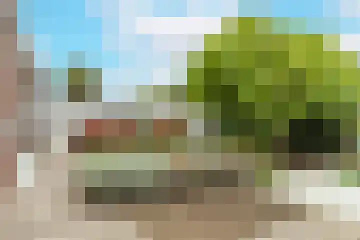 Het Laar 72 Zundert thumbnail 43