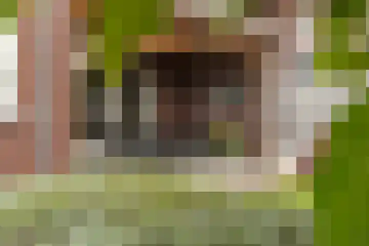 Het Laar 72 Zundert thumbnail 6