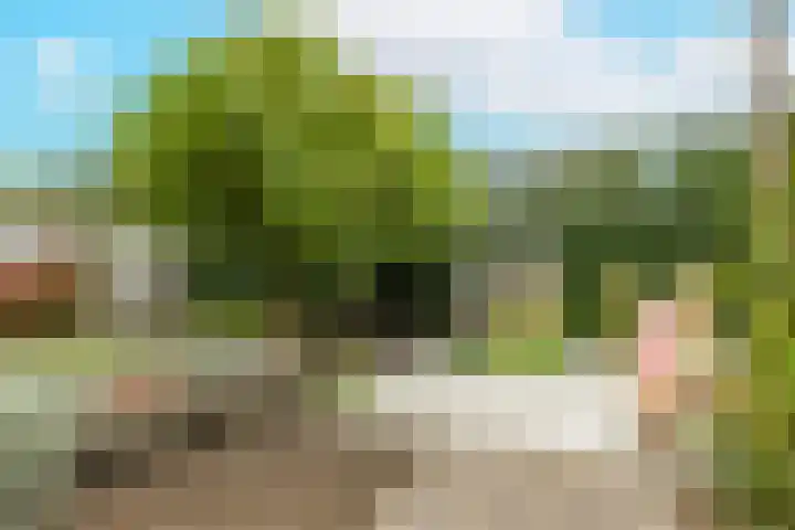 Het Laar 72 Zundert thumbnail 7