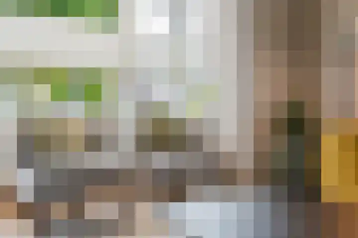 Het Laar 72 Zundert thumbnail 9