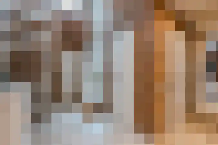 Het Lage Holt 12 Hoogeveen thumbnail 11